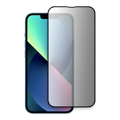 China Anti Spy Anti Spy Film Tempered Glass For iPhone XS Max Max Privacy Screen Protectors 1112 13 Pro for sale