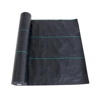 China Cultivation Weed Barrier Landscape Fabric Agricultural Durable And Heavy Duty Premium Plant Cover Weed Barrier Garden Cover Fabric for sale