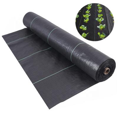 China Breathable Plastic Weed Control PP Woven Agriculture Fabric , Ground Seed Nursery Cove r for sale