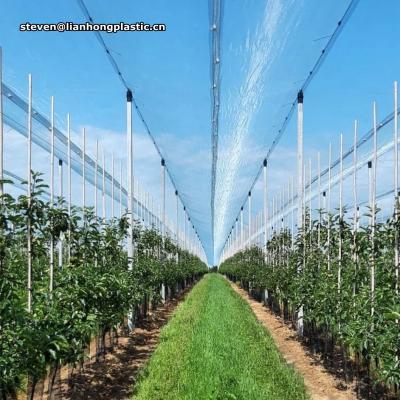 China 100% virgin HDPE orange netting / anti apple hail netting with long useful life, gauze knitted 50gsm 60gsm 70gsm 80gsm for sale