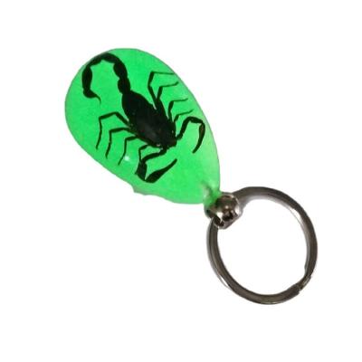 China Crystal Luminous Scorpion Keychain - luminous new product real crab and scorpion bag car key chain keychain for sale