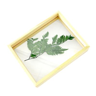 China Retro photo plastic wood double-sided glass frame/wooden color specimen acrylic frame creative picture frame for home business place for sale