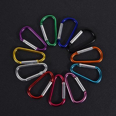 China Wholesale Price Metal Letter D Shape Outdoor Sports Metal Carabiner Aluminum Key Chain for sale