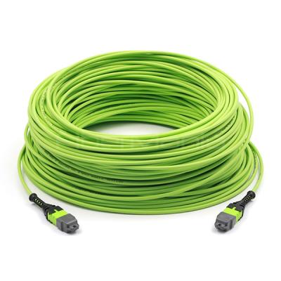 China Datacenter MPO Trunk Cable Assembly 24 Fibers Polarity B OM5 OFNP Lime Jacket for sale