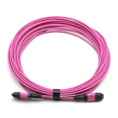 China Male To Female MPO Trunk Cable Assembly 12 Fibers Polarity A OM4 OFNP Magenta Jacket for sale