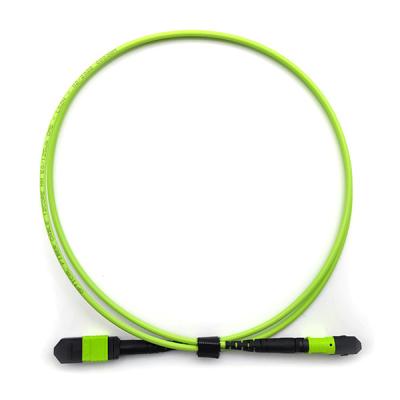 China 12 Fibers MPO Trunk Cable Female To Female Polarity A OM5 OFNP Lime Jacket for sale