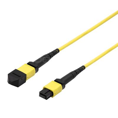 China CATV Networks MPO Trunk Cable Female To Female 12 Fibers Polarity A OM3 Yellow Jacket for sale