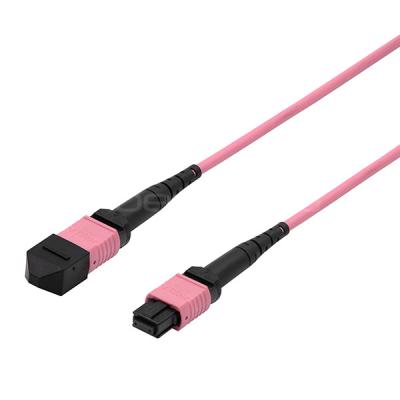 China Customized MPO Solutions MPO Male to MPO Female Trunk Cable Assembly for sale