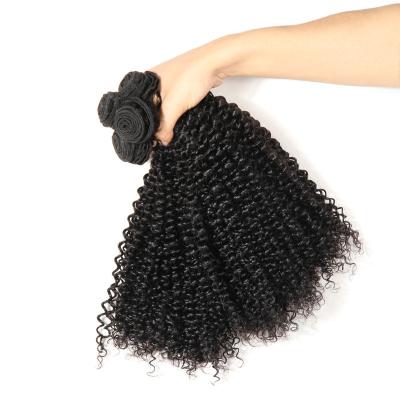 China 100% Kinky Curly Cheap Raw Indian Hair Bundles Kinky Curly With Closure Virgin Brazilian Cuticle Aligned Hair Mink Extensions for sale