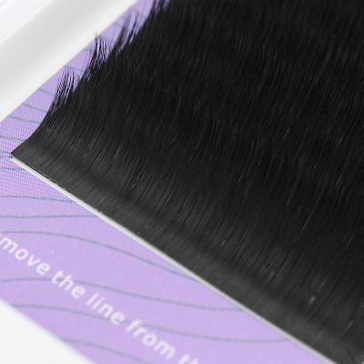 China Wholesale Private Label Natural Feeling Foil Packaging Back Fans Easy Volume Lashes 0.05 Mega Eyelash Extensions for sale