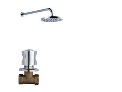 China Concealed Wall Mounted Shower Taps With A Single Function Brass Stopper for sale