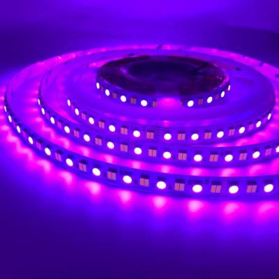 China PROJECT RGB+CCT RGB+WW+W (5 in 1) 5050 LED Strip 24V for sale