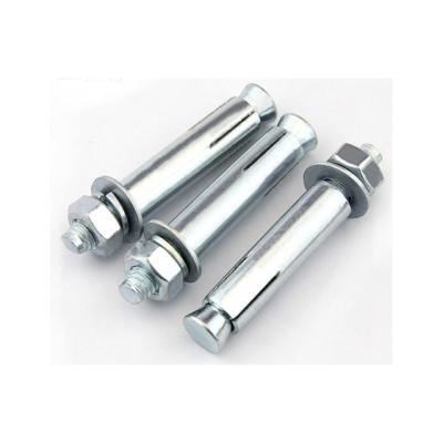 China Professional Manufacturer Supplier Stainless Steel Expansion Bolt M6 M20 for sale