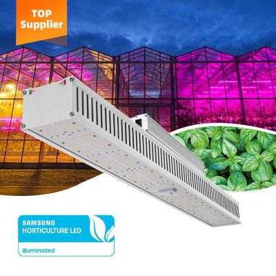 China Seed Starting New Powerful High Efficient Greenhouse Full Shade Superior Light Free Spectra LM301H 600w Led Linear Horticulture Grow Light for sale