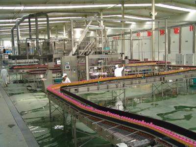 China Cadena de producción del zumo de fruta de la botella del ANIMAL DOMÉSTICO SS304, máquina de rellenar de la soda automática en venta