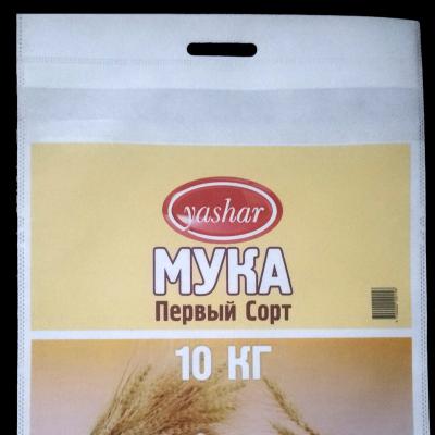 China Recyclable Russia Kazakhstan Tajikistan Nonwoven Flour 5kgs 10kgs PP Bags 38*48cm 38*64 cm for sale