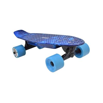 China 2020 PP Material NEW ARRIVAL 300w Hub Motor 4 Wheels Electric Skateboard for sale