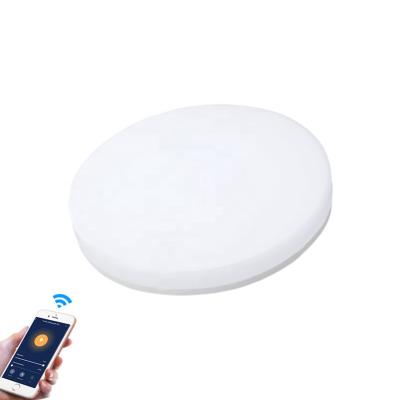 China Outdoor Mounted P20 Waterproof Residential Smart Cell Phone Control Lighting Modern Bedroom Wifi Lamp 18w LED Ceiling Light for sale