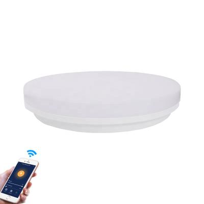 China Outdoor Mounted WiFi Smart Ceiling Light With Dimmable Remote Control Color Changing Modern Ceiling Light Work With Amazon Alexa,Google,IFTTT for sale