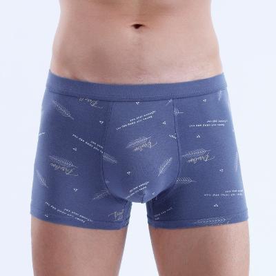 China Antibacterial Mens Boxer Fashion Underwear Mens Tops OEM Logo Name Custom Boxers Briefs 95% 5% Spandex Modal Panties Underwear Men for sale