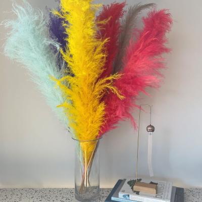 China Mutli-colors Pampas Grass Wedding Decorations Natural Dried Flower Pampas Bunches Premium Dried Flower For Bridal Party for sale