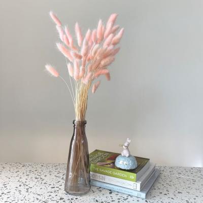 China Home Flowers Wedding Decorative Bunny Tails Natural Dried Flower Bunny Tails Grass for Home Flower Arrangement in Decors Weddings for sale