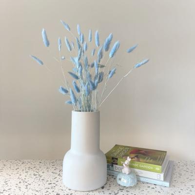 China Home Flowers Decorative Wedding Bunny Tails Hot Selling Natural Preserved Flower Arrangement Decorations Bunny Tails Dried Flowers for sale