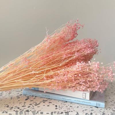 China Wholesales Million Event Decoration Stars Baby's Breath Dried Mini Baby Breath Decorative Flowers for Home Decors Weddings for sale