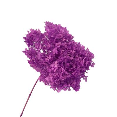 China Wedding Home Decoration Wholesale Natural Home Decor And Wedding Decorations Dry Flower Hydrangeas Dried Flowers for sale