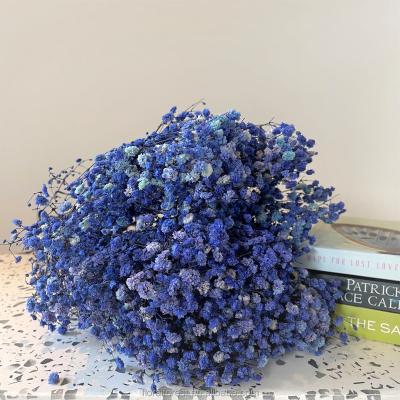 China Natural Gypsophila Dry Flowers Wholesale Gypsophila for Home Decors Weddings Flower Arrangement for sale