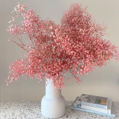 China Natural Baby's Breath Wholesale Dry Flower Home Decorations Gypsophila Dried Flower For Weddings Decorations for sale