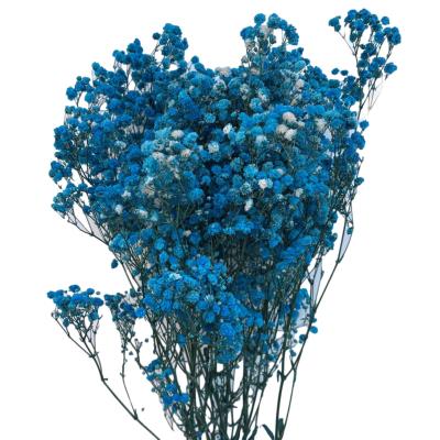 China Wholesale Natural Dried Baby's Breath Gypsophila Flower Dry Blue Gypsophila Supplier For Weddings Home Decorations for sale