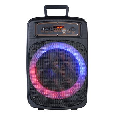 China DTS Mini Bass Handle Party Disco Loud Handheld Powered Light Wireless BluetoothSpeaker for sale