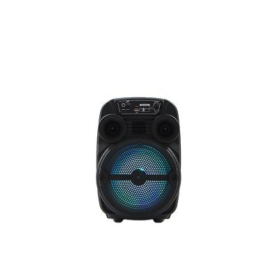 China Wireless karaoke aux. Portable Bass Monitor BT DJ Wireless Led Mic Active Speaker Lightweight for sale