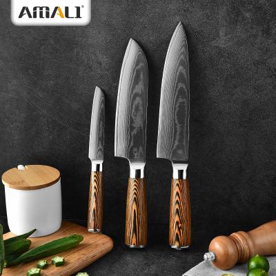 China Viable Professional Chef Damascus Knife With Pakka Handle Knives Kitchen 67 Layers Damascus Wood Chef's Paring Knife for sale