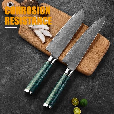 China New Resin Grain Handle Sustainable Hot Selling Kitchen Supplier Amazon Group of Ten Damascus Knife 67 Layers Damascus Chef Knife for sale