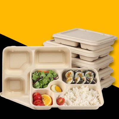 China Multi-compartment Disposable Degradable Meal Box Pulp Dish Meal Takeout Lunch Box for sale