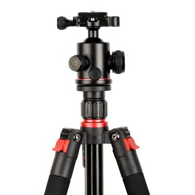 China TP05 Professional Arcury One-Button Folding Multifunction Aluminum Portable Tripod From China Factory Wholesale High Quality PORTABLE PORTABLE for sale