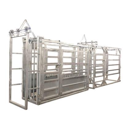 China Raises Semi Automatic Cattle Sorting Bar Handling Compression Crush for sale