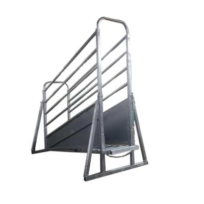 China Livestock Operation Livestock Handling Equipment Plans Adjustable Loading Ramp for sale