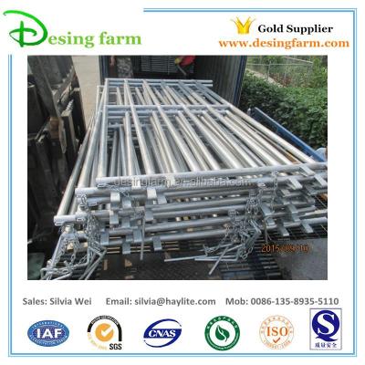 China Easily Assembled Heavy Duty Galvanized Pipe Corral Panels With 6 Bar for sale