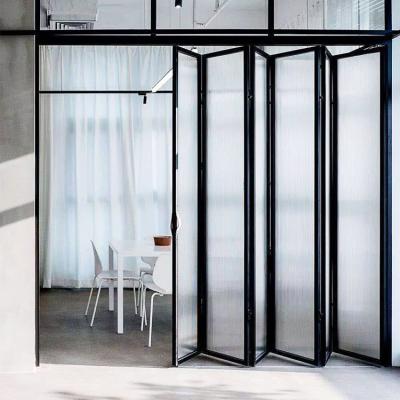 China Modern Luxury Double Door Bathroom Thin Glazing Collapsible Folding Door for sale