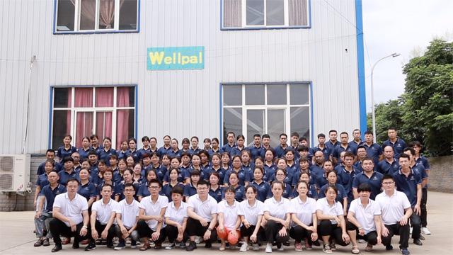 Verified China supplier - Henan Wellpal Baby Products Co., Ltd.