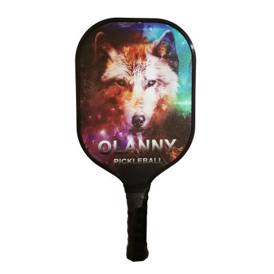 China Pickleball Sport USAPA Newcomer Standard Fiberglass Pickleball Paddle for sale