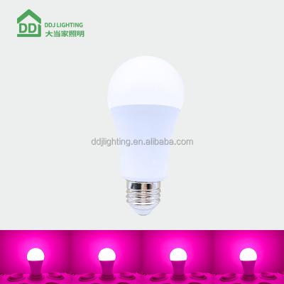 China LED A19 E26/E27 Indoor Halogen 8W 50/60w Indoor Light Pink AC120V/220V A19 LED Light Bulb Light for sale