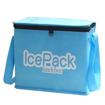 China High Quality Fashionable Outdoor Insulated Waterproof Cooler Bag Delivery Portable Bag With Low Price for sale