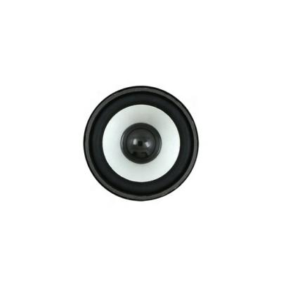 China Play Factory Supply 5W 2.5inch Full Range Video Speaker For Audio Or Music Device for sale