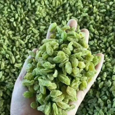 China High Nutrition Raw Material Chinese Raisins Dried for sale