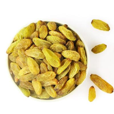 China High Nutrition Chinese Vends Golden Seedless Raisins for sale