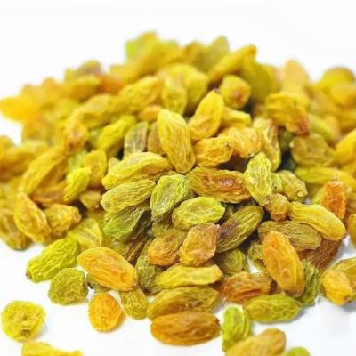 China High Nutrition Natural Fruit Green Raisins All Types of Dried Raisins for sale